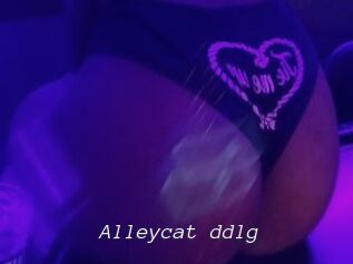 Alleycat_ddlg