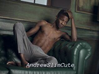AndrewSlimCute