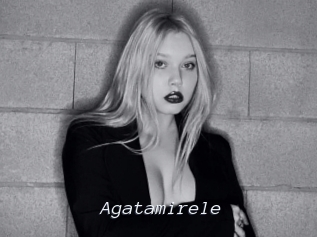Agatamirele
