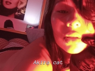 Akira_cat