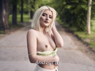 Andigray