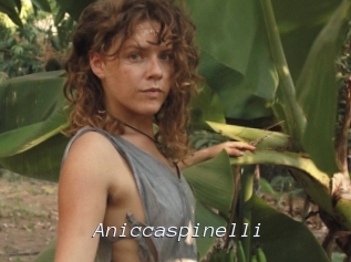 Aniccaspinelli