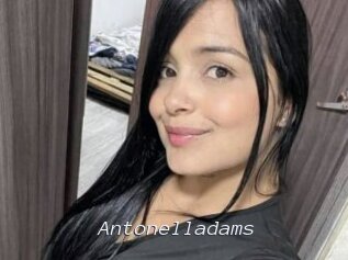 Antonelladams