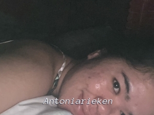 Antoniarieken