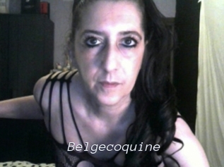 belgecoquine Tel 69 Salopes