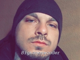 Bigkaneswonder