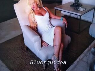 Bluorquidea