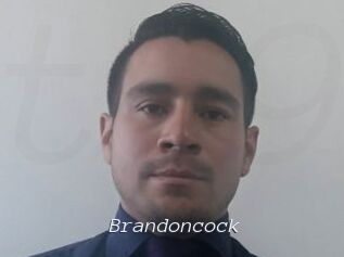 brandoncock Tel 69 Salopes