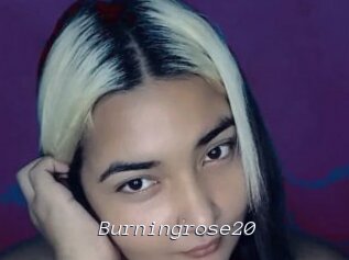 Burningrose20