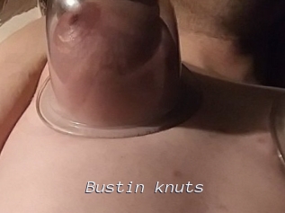 Bustin_knuts
