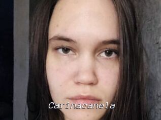 Carinacanela Tel 69 Salopes