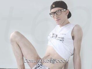dominikbigcock Tel 69 Salopes