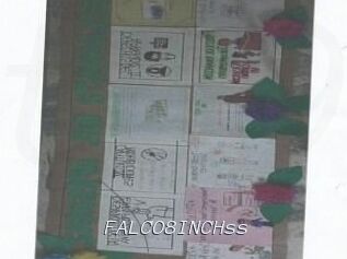 FALCO8INCHss