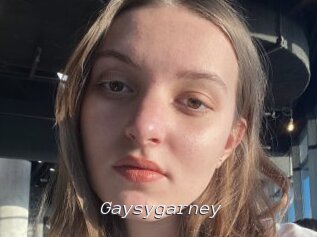 Gaysygarney