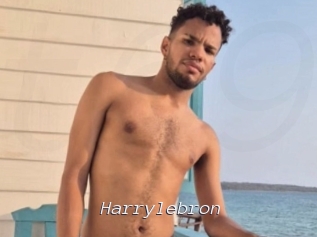 Harrylebron