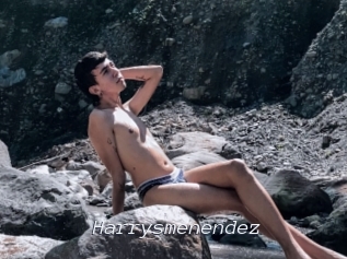 Harrysmenendez