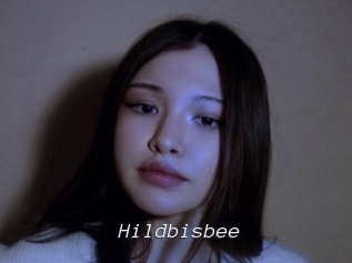 Hildbisbee