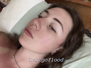 indigoflood Tel 69 Salopes