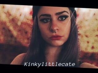Kinkylittlecate