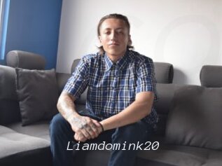 Liamdomink20