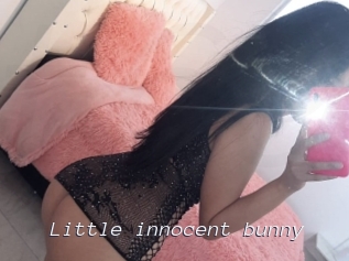Little_innocent_bunny