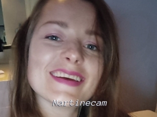 Martinecam