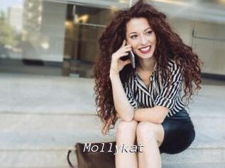 Mollykat