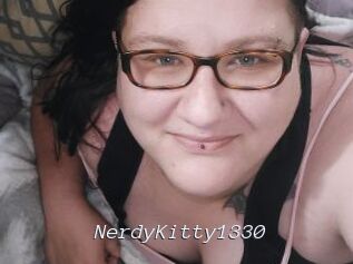 NerdyKitty1330