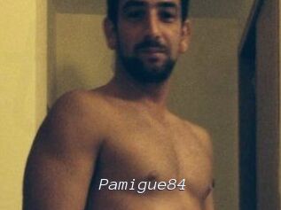 Pamigue84