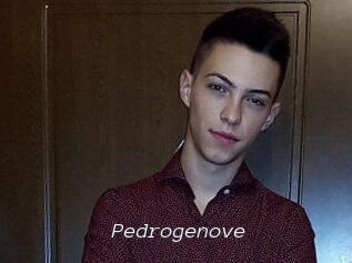 Pedrogenove
