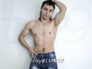 PlayWithDIG