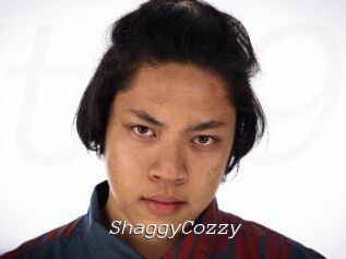 ShaggyCozzy
