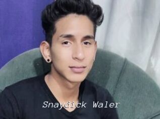 Snaydick_Waler