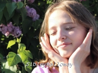 Sibleyhalloway