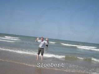 sloebert Tel 69 Salopes