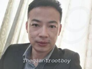 Thegiantrootboy