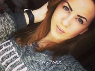TinyTess