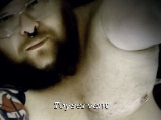 Toyservent Tel 69 Salopes