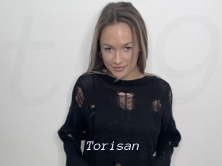 Torisan