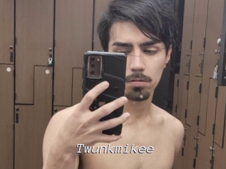 Twunkmikee