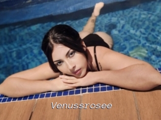 Venussrosee