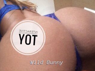 Wild_Bunny_ Tel 69 Salopes