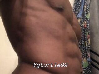 Ygturtle99