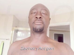 Zachary_Morgan Tel 69 Salopes